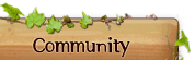 Community